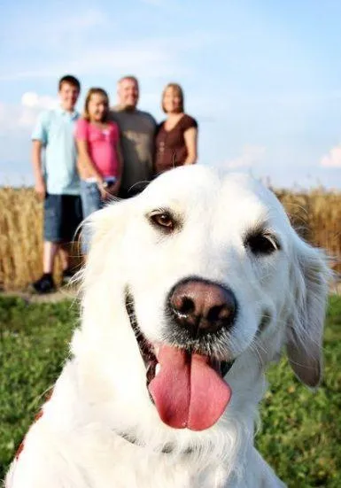 families best friend