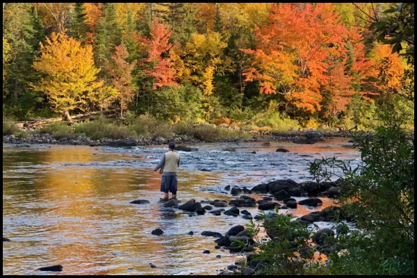 Man fishing in a creek surrounded by fall foliage