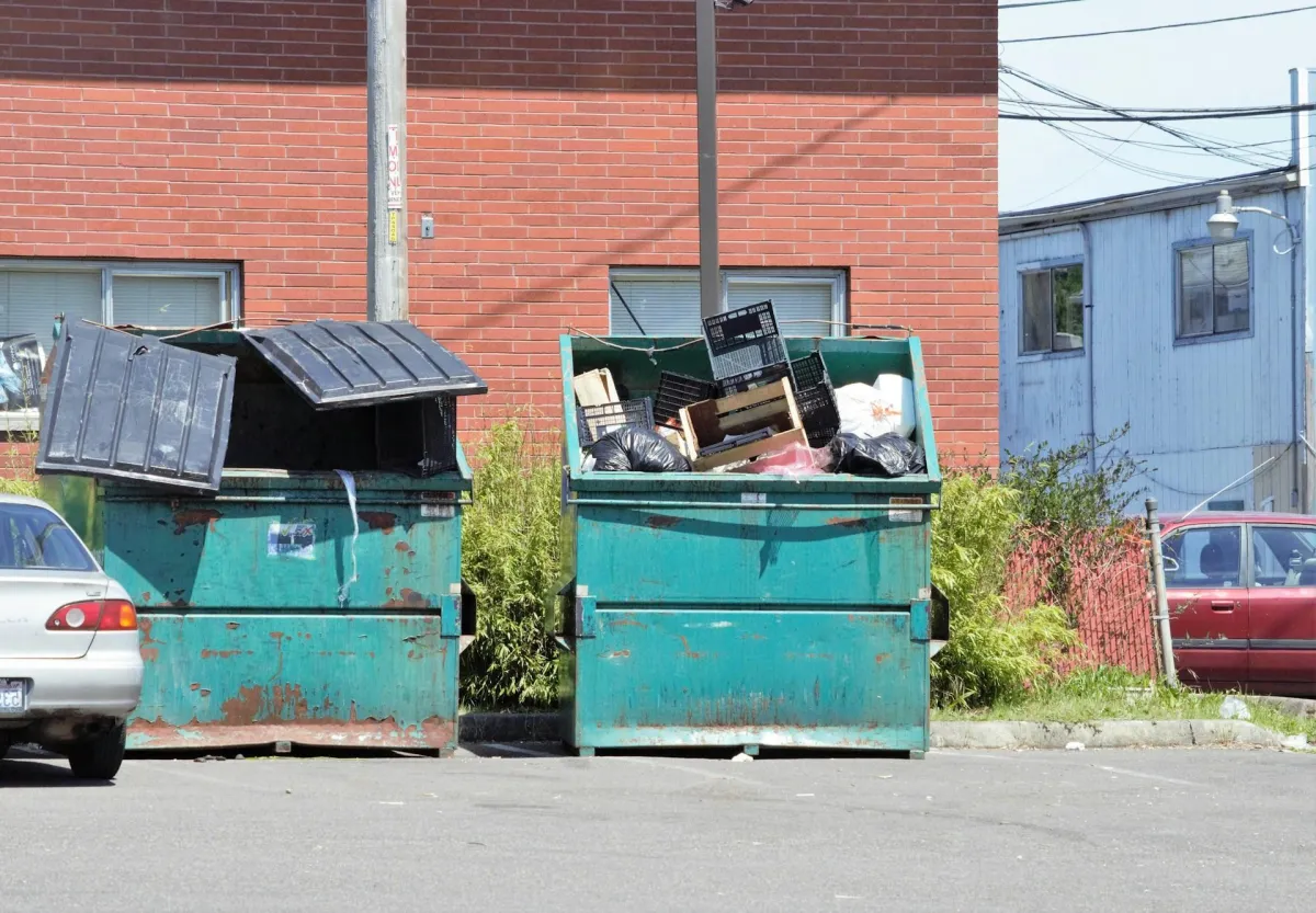 Removal Services 