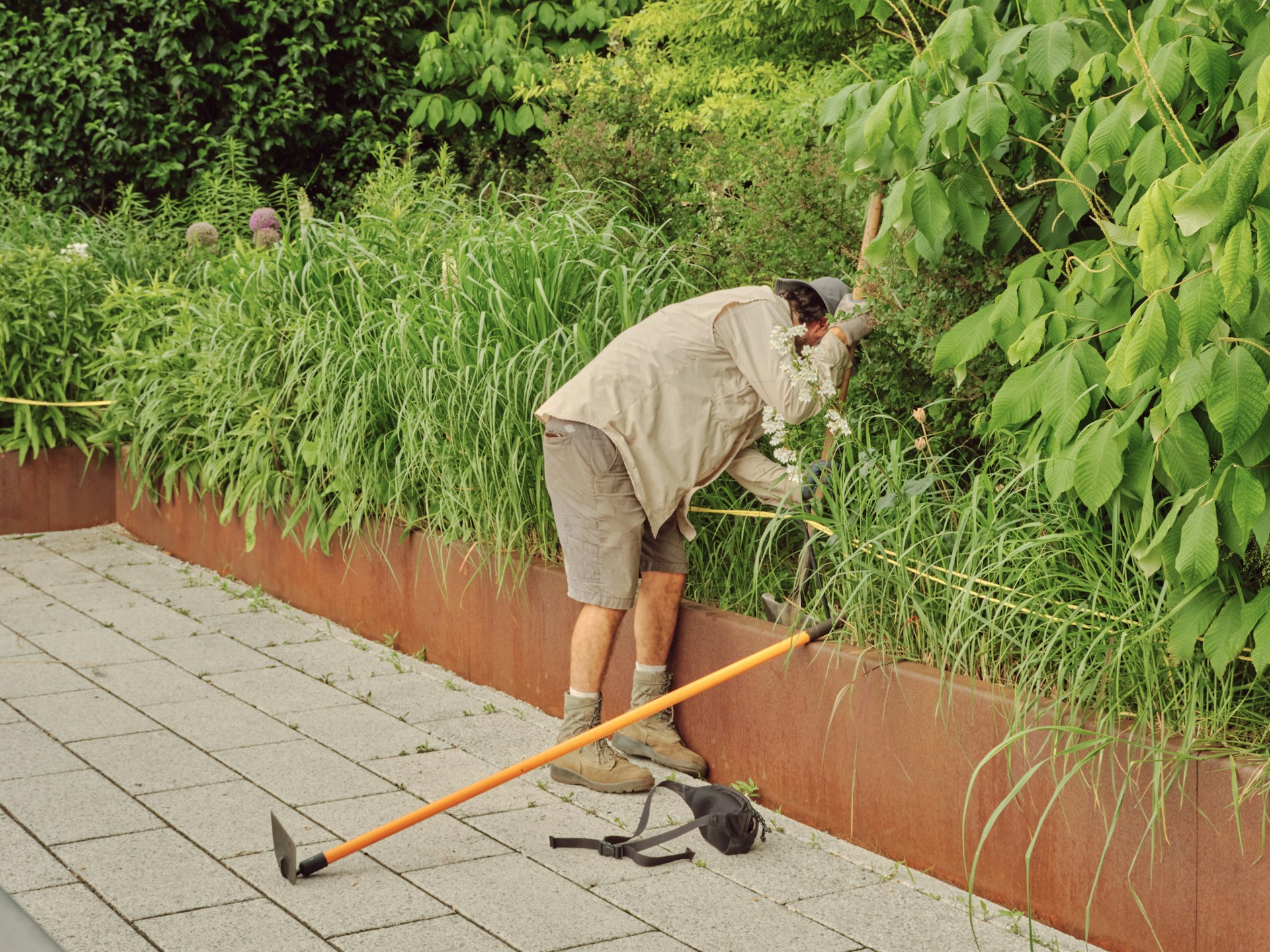 Winter Property Maintenance: Clearing Outdoor Spaces