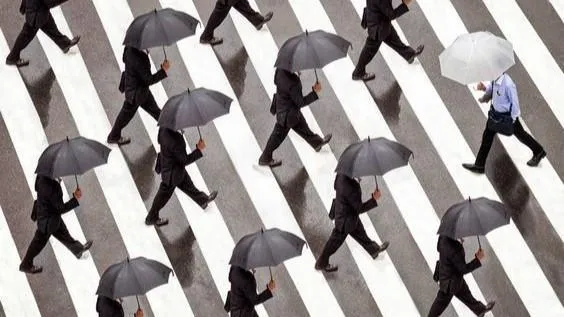 The Hidden Bias of “Smart” Candidates