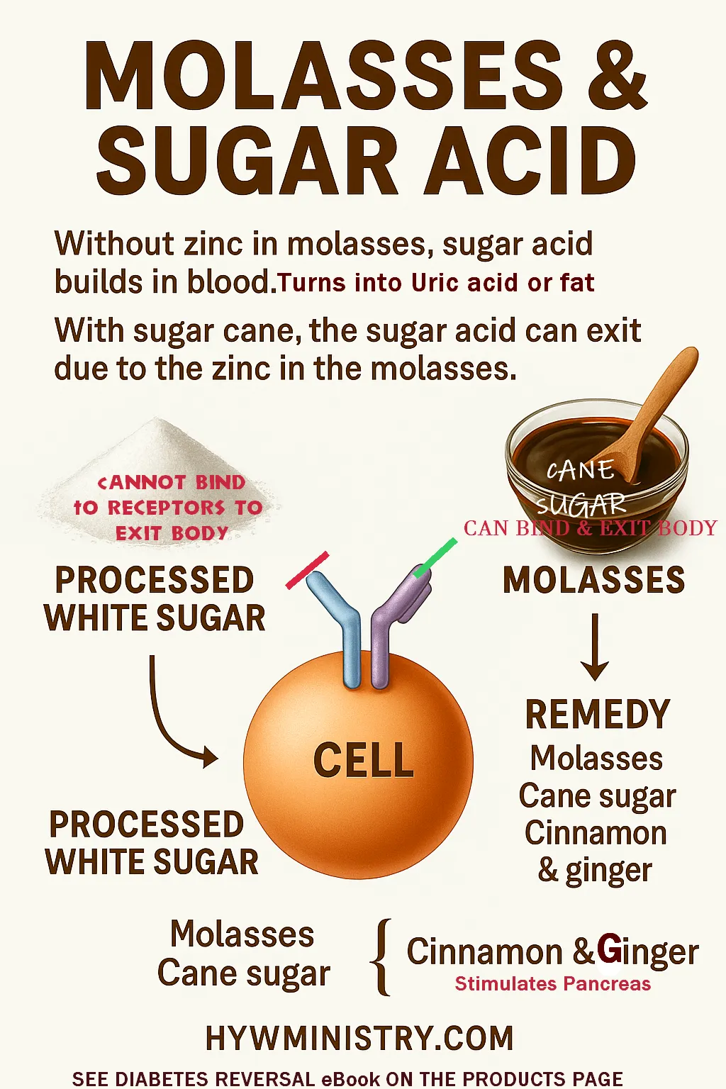Diabetes, uric acid, kidney, gout, molasses, sugar, liver, disease