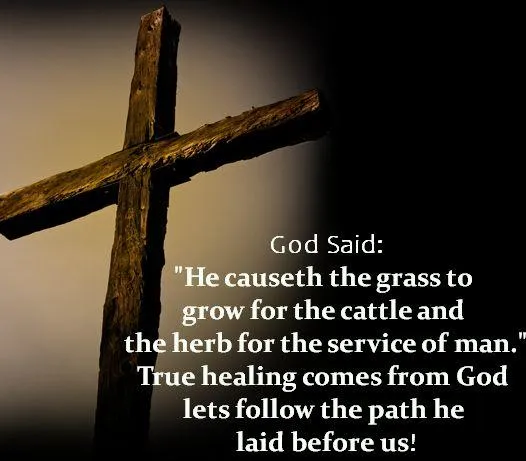 May, God, be, realized, here, to spred, love, peace, and, wisdom