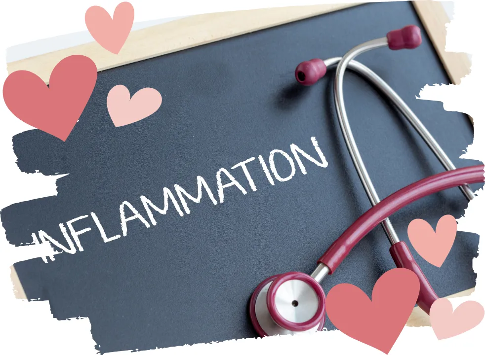 The Perimenopause Inflammation Storm: How to Calm the Fire and Reclaim Your Health