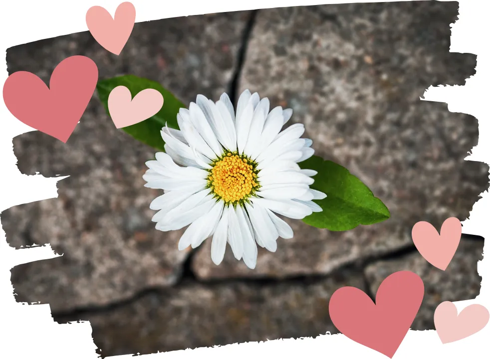 Building Resilience in Perimenopause: How to Stay Strong Through Hormonal Shifts