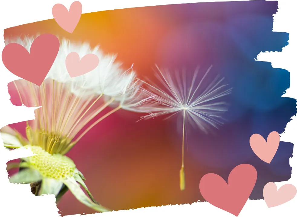 The Power of Loving-Kindness in Perimenopause: A Self-Compassion Reset