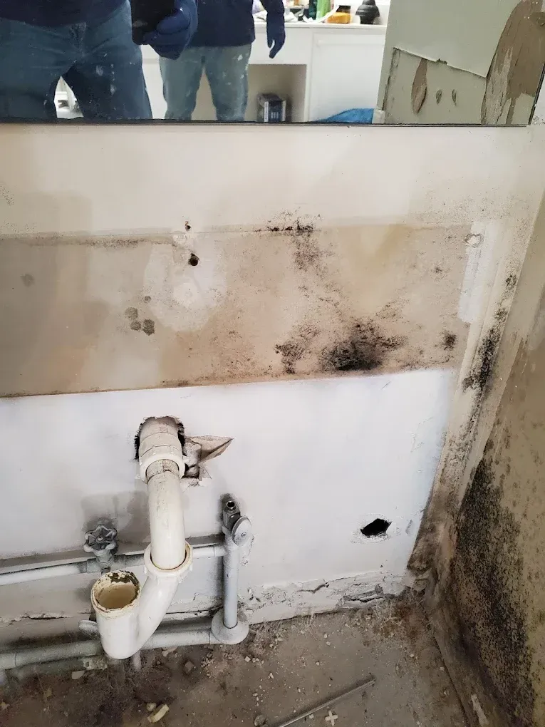 How to Identify and Remove Mold After Water Damage | Leak Proof Restoration