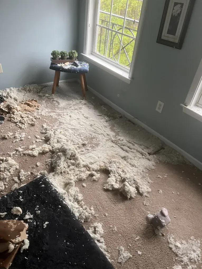 How to Safely Remove and Restore Water-Damaged Insulation | Leak Proof Restoration