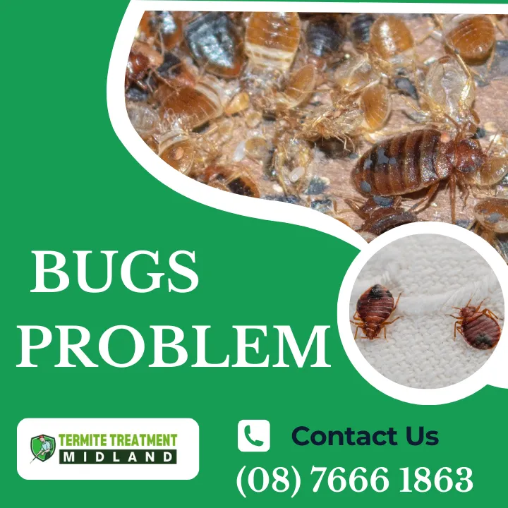 best-ways-to-eliminate-flying-insects