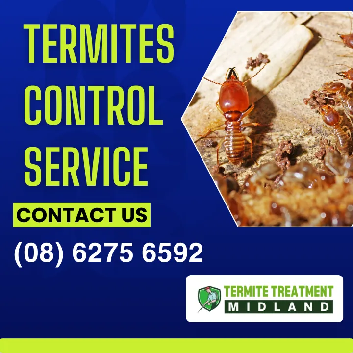 safe-pest-control-midland