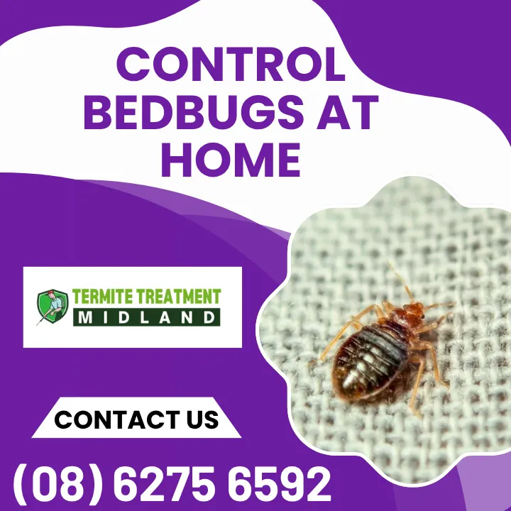 frequent-flyer-strategies