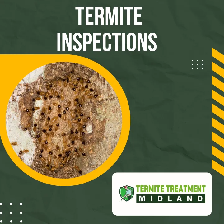 Home protection from termites with annual inspections