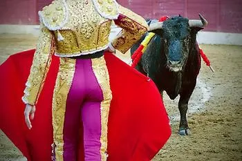 The Bull and His Matador