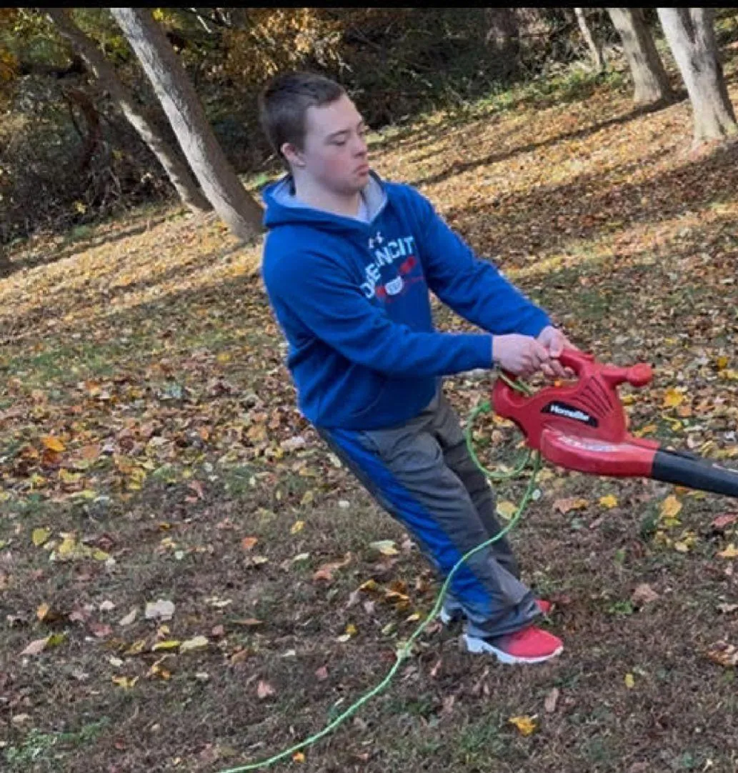 The Great Leaf Blower Showdown