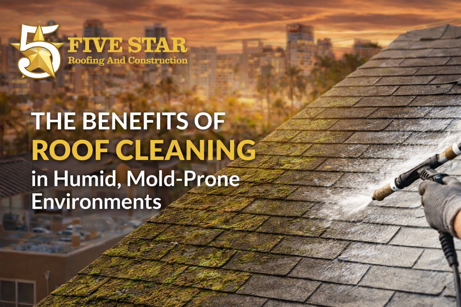 The Benefits of Roof Cleaning in Humid, Mold-Prone Environments