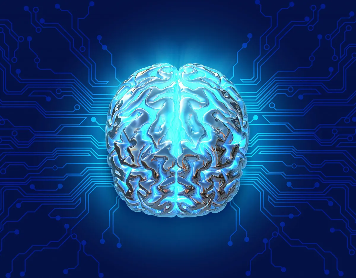 New Research Links Physical Fitness and Exercise to Cognitive Performance