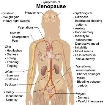 Pre/Post-Menopausal Training