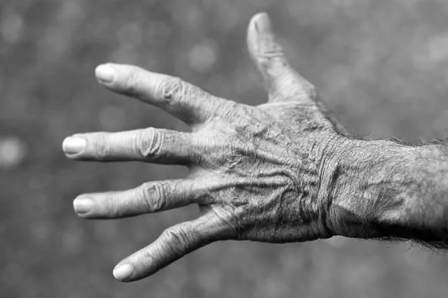 Creatine and Oxidative Stress: Reversing the Effects of Aging