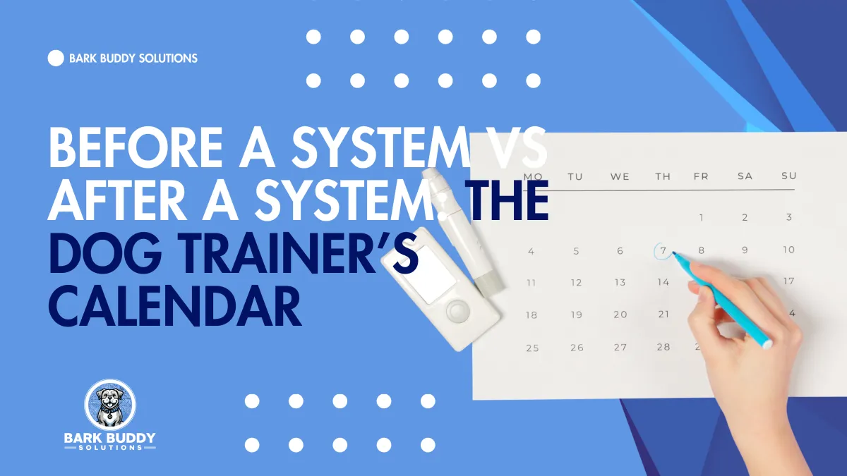 Before a System vs After a System: The Dog Trainer’s Calendar