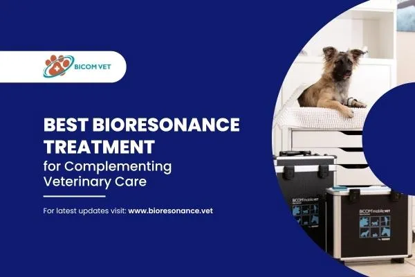 bioresonance treatment