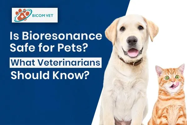 Is Bioresonance Safe for Pets? Risks & Facts for Vets