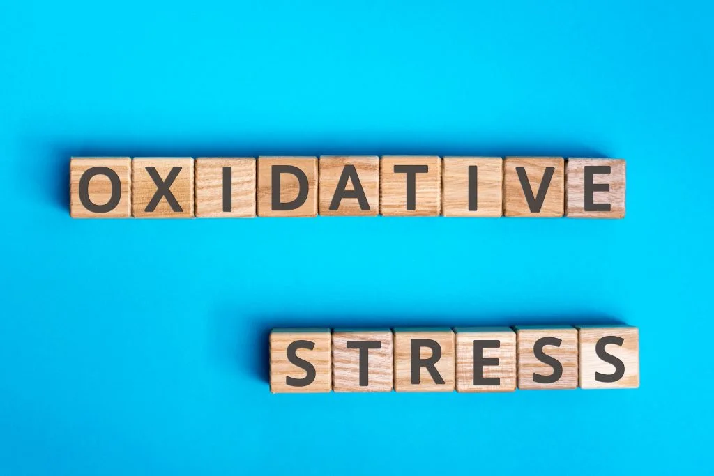 Oxidative Stress – How Does it Affect Our Health?