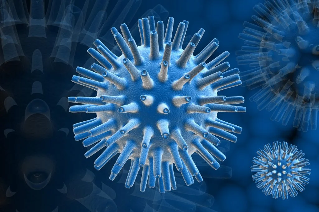 Can Alpha Herpes Viruses Affect Our Mental Health?