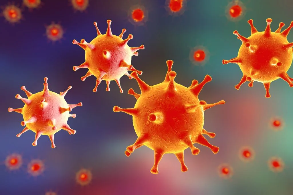 Do Gamma Herpes Viruses Cause Mental Illness?
