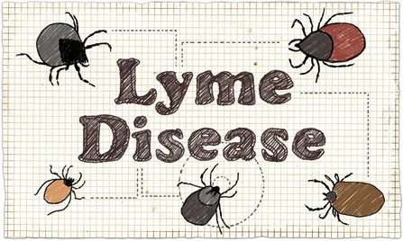 Lyme Disease - Can it Cause Mental Illness?