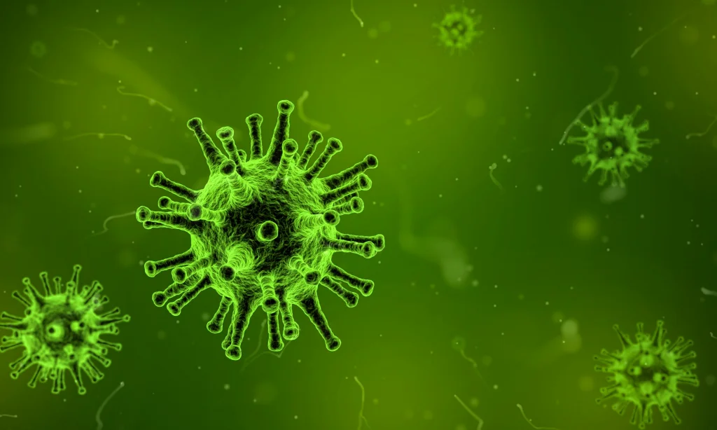 Bioresonance And Viruses