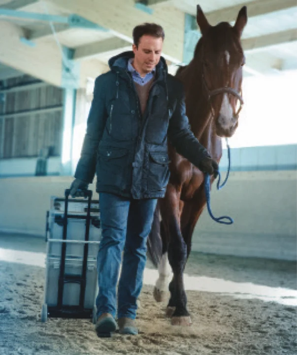 Treating Horses with Equine Herpesvirus (EHV)/Rhinopneumonitis with Bioresonance