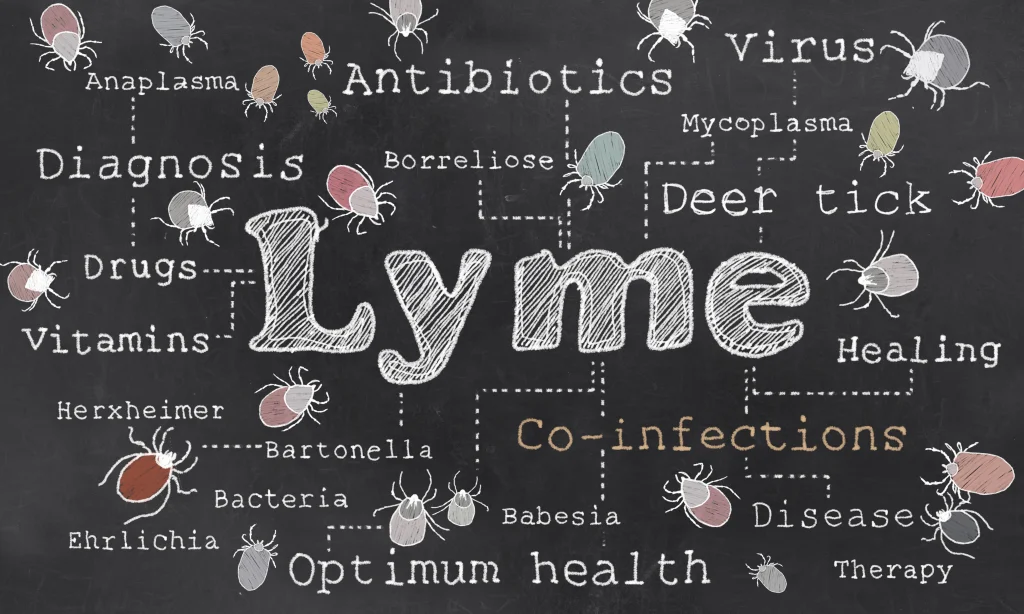 Lyme disease might be the cause of symptoms you are experiencing