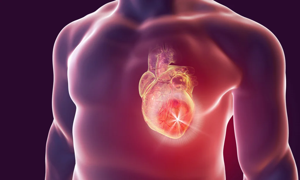 Bioresonance Therapy And Heart Disease