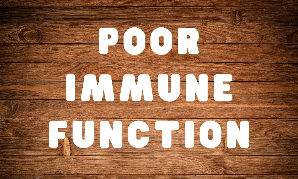 Bioresonance Therapy And Poor Immune Function