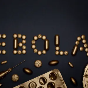 Bio-resonance treatment options for Ebola