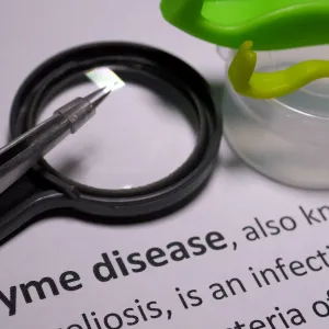 Treatment for Lyme Disease
