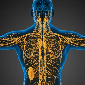Bioresonance Therapy and Lymphatic System