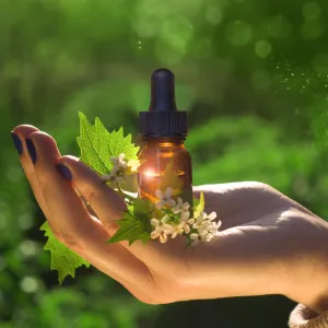 The Health Benefits of Bach Flower Remedies