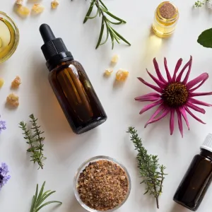 Lyme Therapy Protocol and Essential Oils