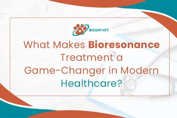 What Makes Bioresonance Treatment a Game-Changer in Modern Healthcare?
