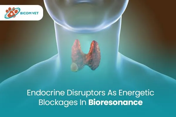 Endocrine Disruptors as Energetic Blockages in Bioresonance