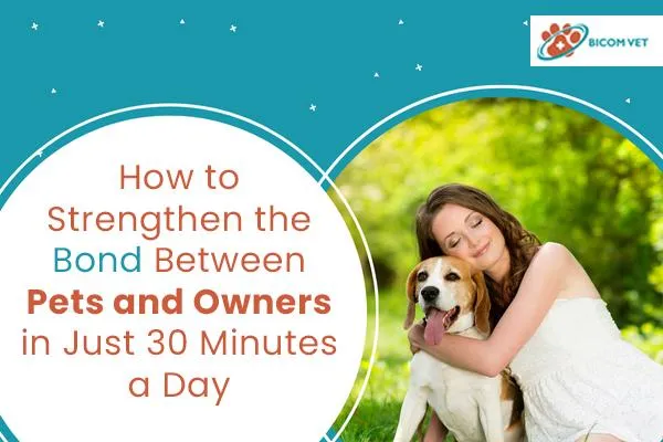 How to Strengthen the Bond Between Pets and Owners in Just 30 Minutes a Day