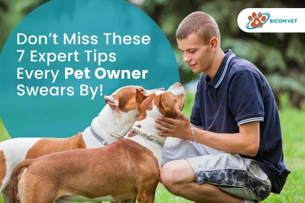 Expert Tips Every Pet Owners Needs to Know Today