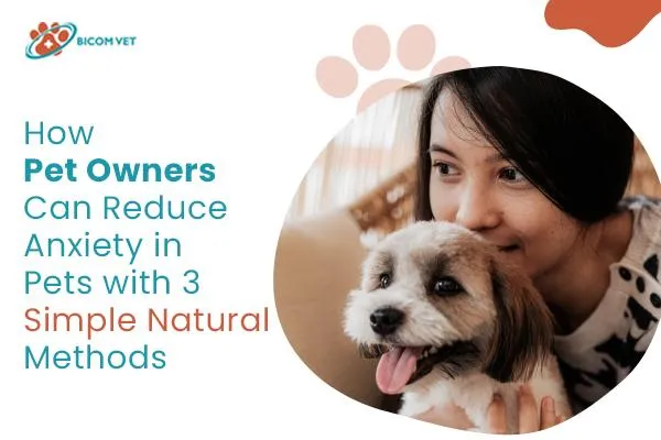Expert Ways Pet Owners Can Reduce Anxiety in Pets Naturally