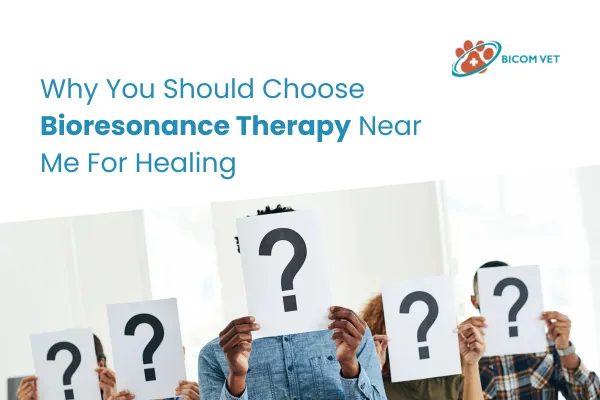 Top Bioresonance Therapy Near Me for Natural Healing