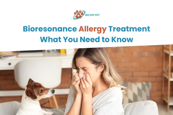 Bioresonance Allergy Treatment Explained Clearly