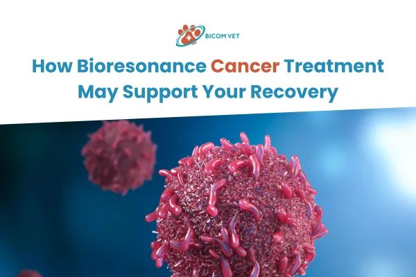 Bioresonance Cancer Treatment