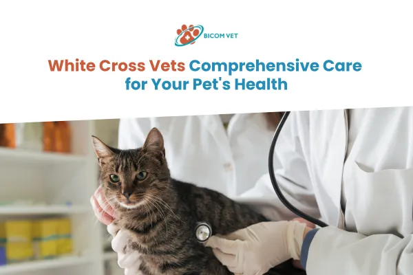 white cross vets