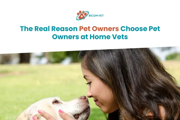 Pets at Home Vets