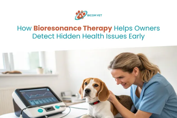 How Pets with Owners Can Detect Hidden Health Issues Early